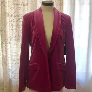 Statement Fuchsia velvet blazer!